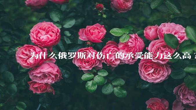 为什么俄罗斯对伤亡的承受能力这么高?