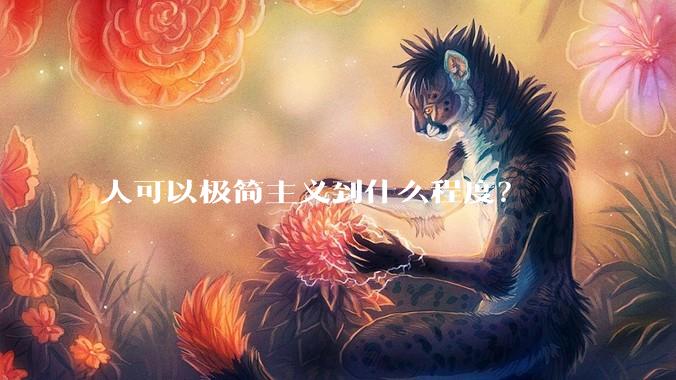 人可以极简主义到什么程度？